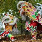 Lion Dance performed by two lions - Photograph by Azure Production