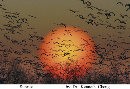 "Sunrise" - Photo by Dr. Kenneth Cheng