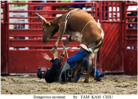 "Dangerous moment" - Photo by Tam Kam Chiu